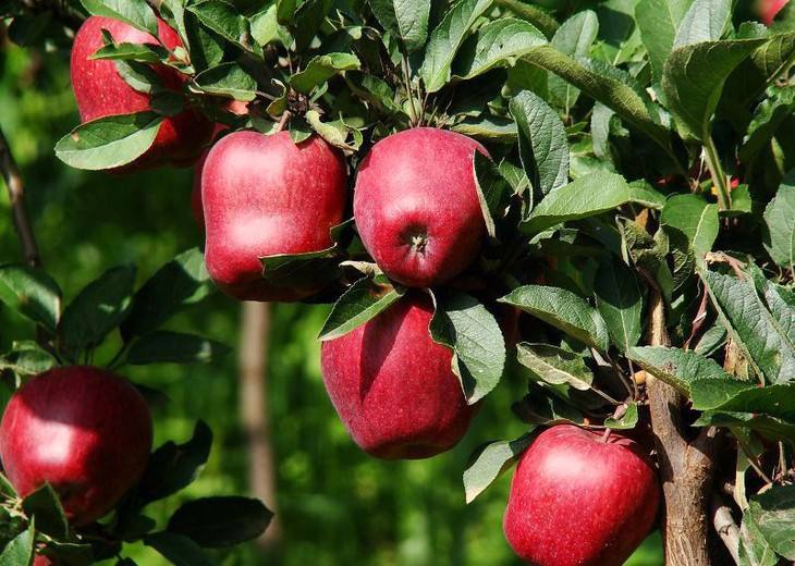 售后跟蹤技術服務